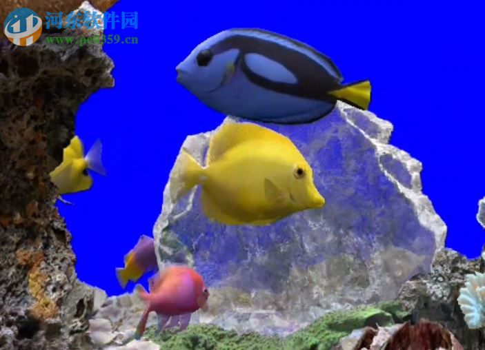 MarineAquarium3(屏保工具) 3.2.6066 免费版
