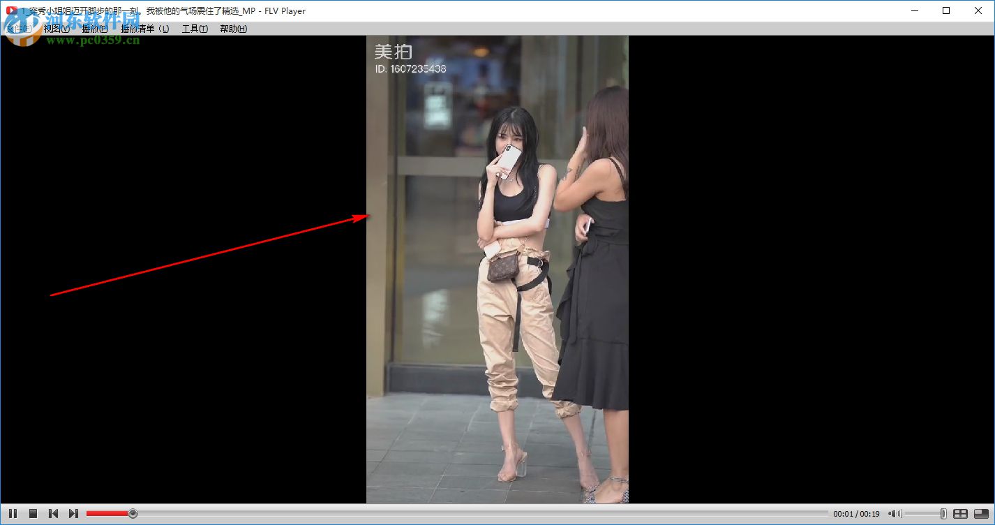 FLV ViewerF4V播放器 2.6.3.0 免费版
