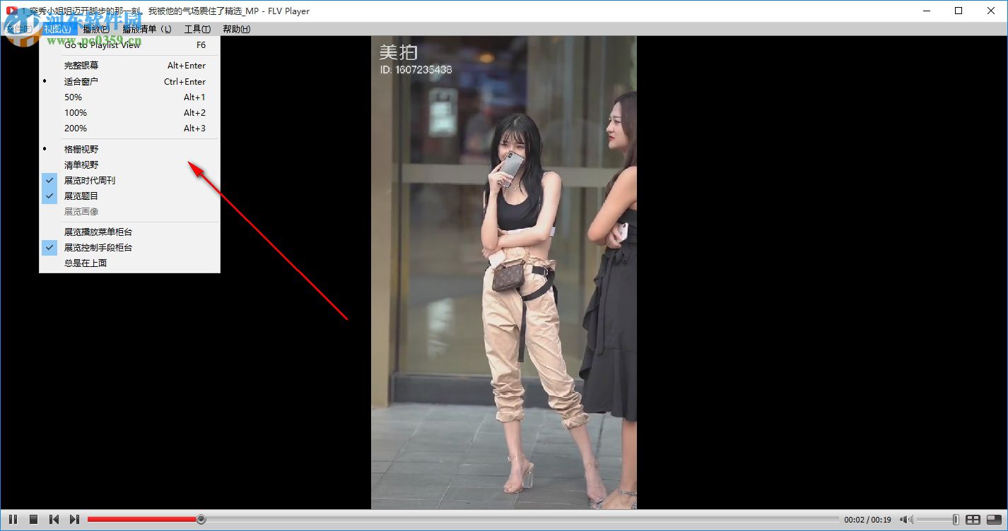 FLV ViewerF4V播放器 2.6.3.0 免费版