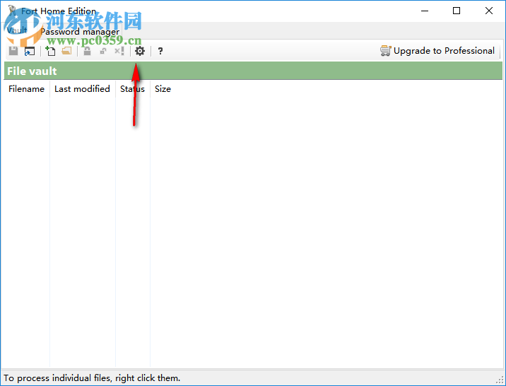 Fort Professional Edition(文件加密器) 4.1.0.0 绿色中文版