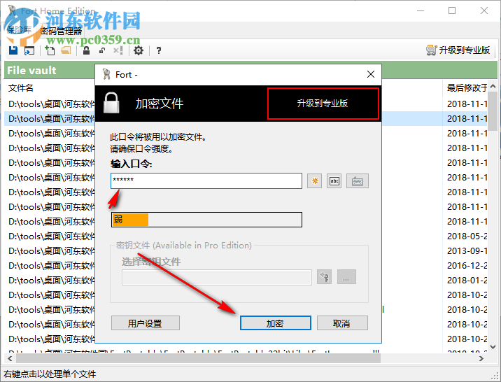 Fort Professional Edition(文件加密器) 4.1.0.0 绿色中文版