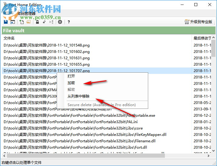 Fort Professional Edition(文件加密器) 4.1.0.0 绿色中文版
