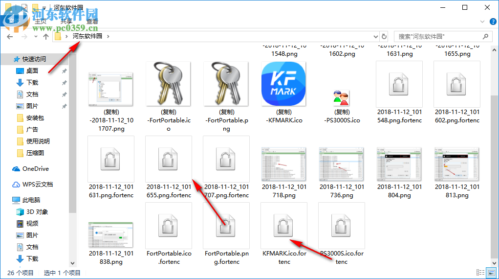 Fort Professional Edition(文件加密器) 4.1.0.0 绿色中文版