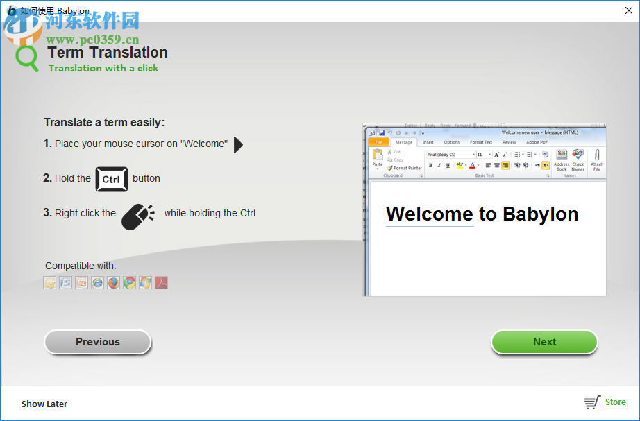 BabyIon(多语言翻译程序) 0.0.29 官方版