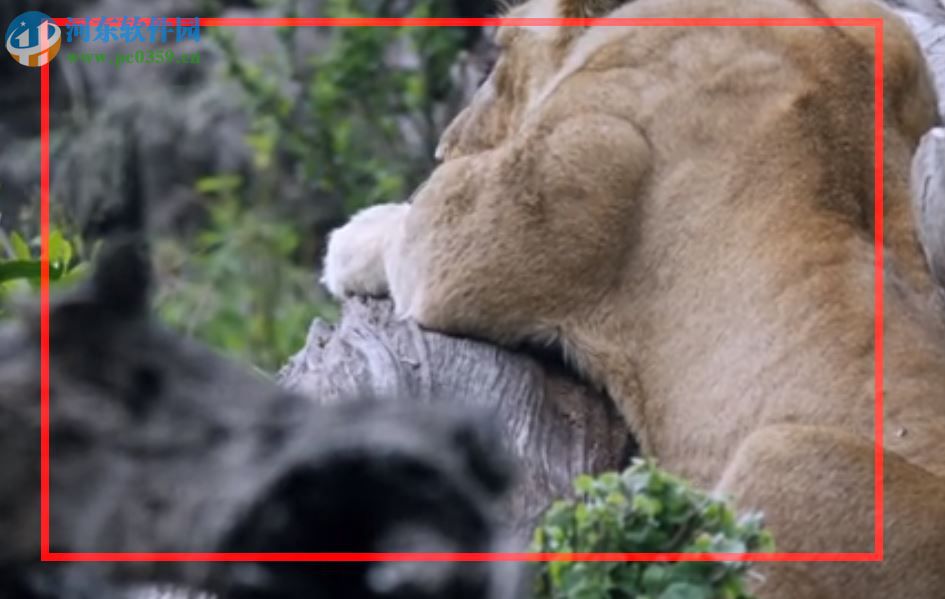 桌面录屏软件下载 1.0 官方版