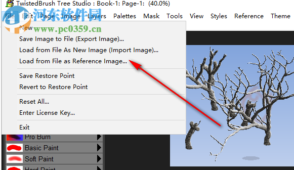 Tree Studio(2D树木生成工具) 1.13 官方版