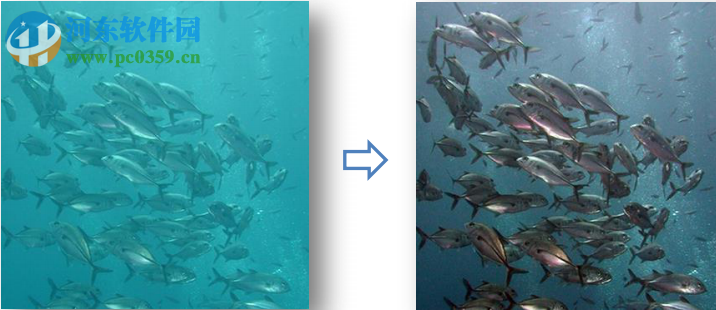 Artipic(照片编辑软件) 2.9.0 官方版