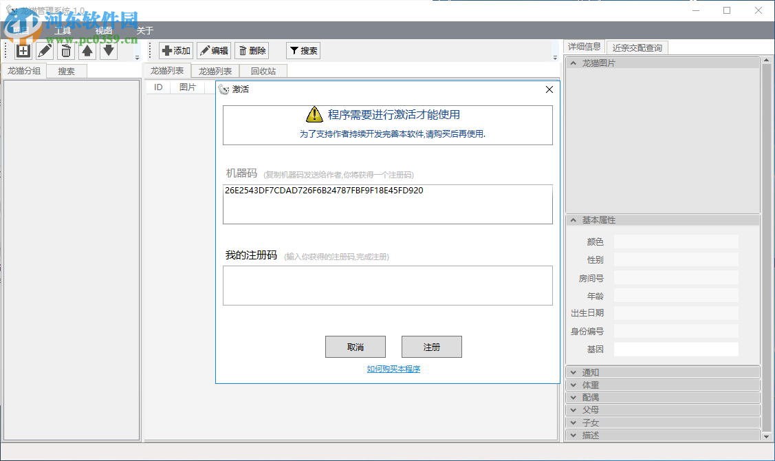 龙猫管理系统 1.1 官方版