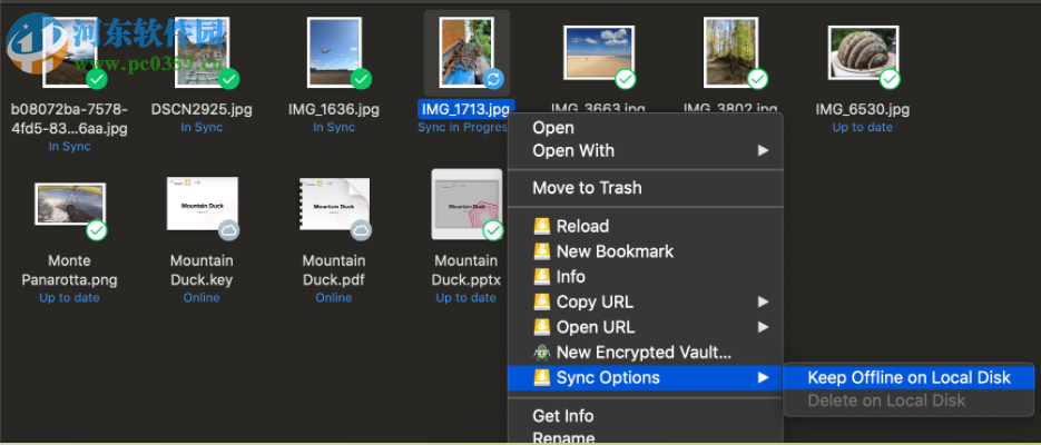 Mountain Duck(云存储空间本地管理工具) 2.7.0.9820 破解版