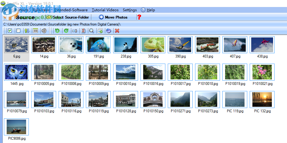 SortPix XL(图像管理软件) 19.0.3 免费版