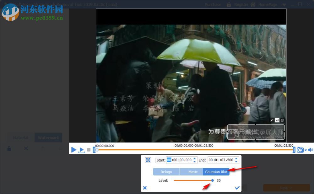Gilisoft Video Watermark Removal Tool(视频水印删除工具)