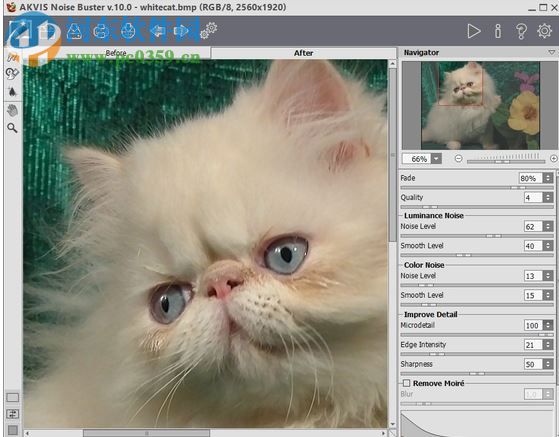AKVIS Noise Buster(相片降噪软件) 10.3 免费版