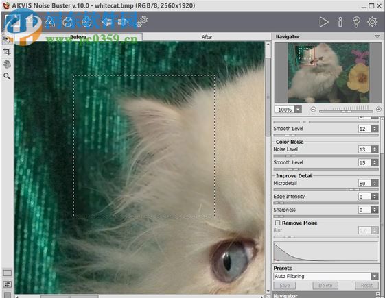AKVIS Noise Buster(相片降噪软件) 10.3 免费版