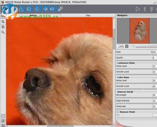 AKVIS Noise Buster(相片降噪软件) 10.3 免费版
