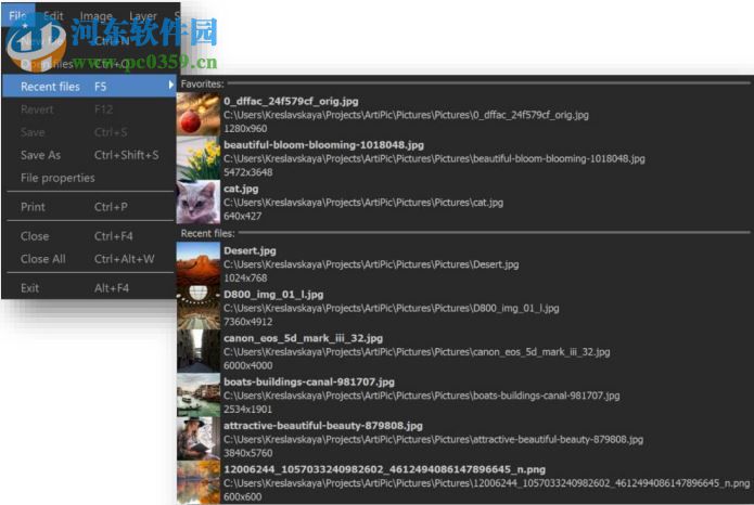 照片编辑软件电脑版(Abelssoft Artipic) 2.9.0 官方版