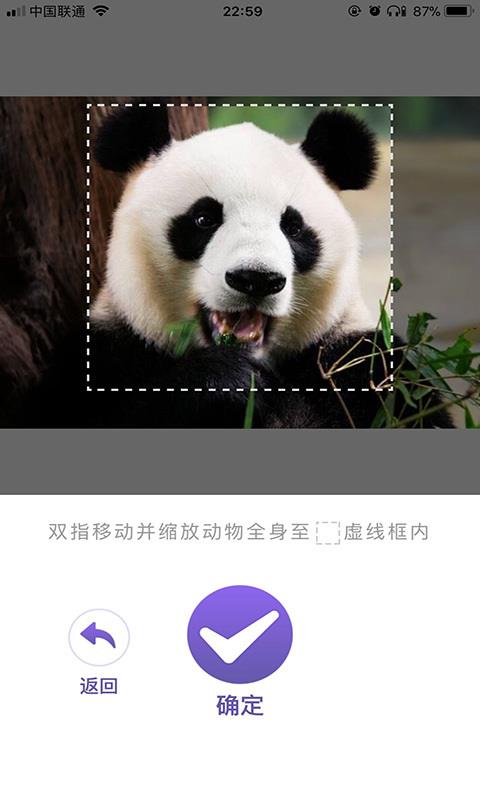 神奇动物世界(4)