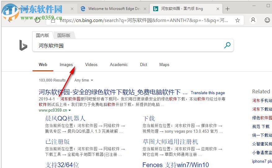 Microsoft Edge Dev(Chromium Edge开发版)