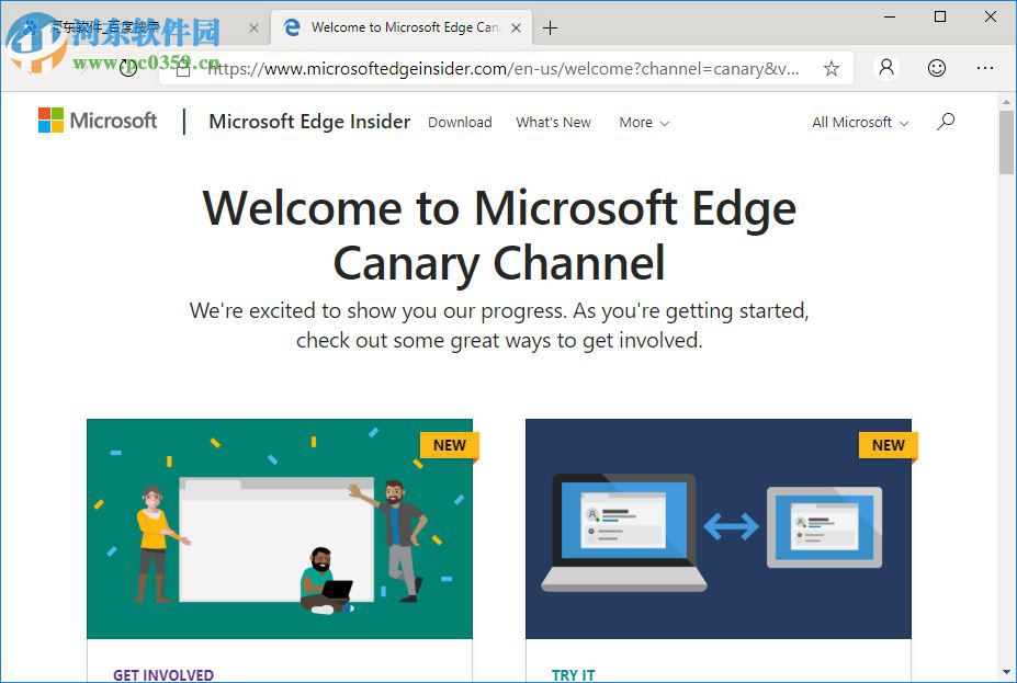 Microsoft Edge Canary(Chromium Edge金丝雀版)