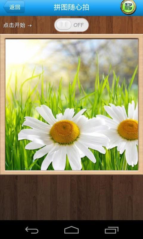 拼图随心拍(1)