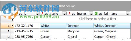 Firebird Code Factory(Firebird数据库管理工具) 17.4.0.3 官方版