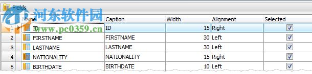 Firebird Code Factory(Firebird数据库管理工具) 17.4.0.3 官方版