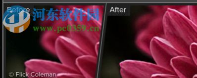 Topaz Sharpen AI(人工智能清晰锐化软件) 1.1.3 官方版