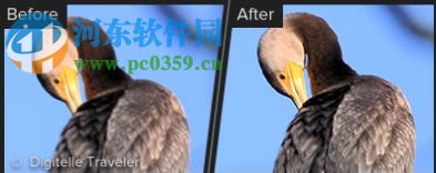 Topaz Sharpen AI(人工智能清晰锐化软件) 1.1.3 官方版