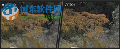 Topaz Sharpen AI(人工智能清晰锐化软件) 1.1.3 官方版