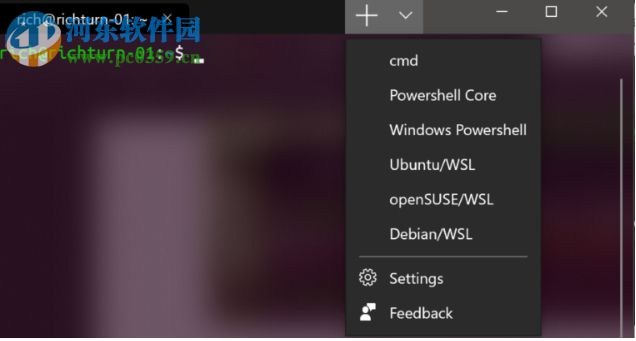 Windows Terminal(命令行终端工具)