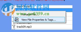 Inviska Rename(批量重命名软件) 12.0 官方版