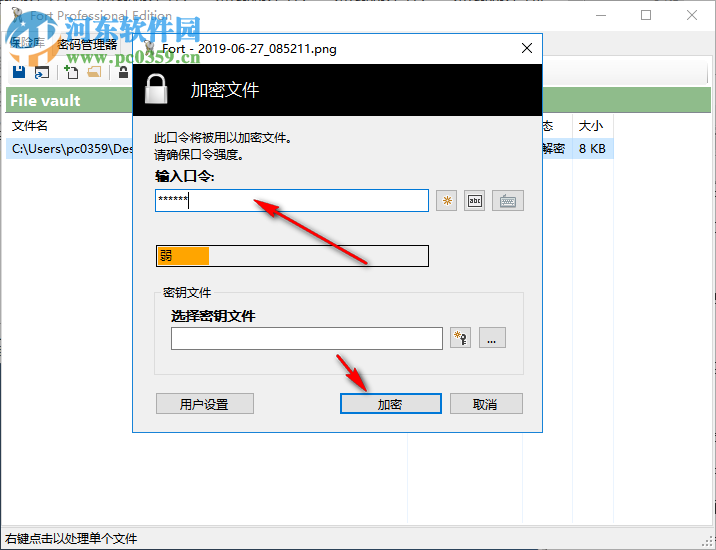 Fort File encryption(文件加密软件) 5.0.0 中文版