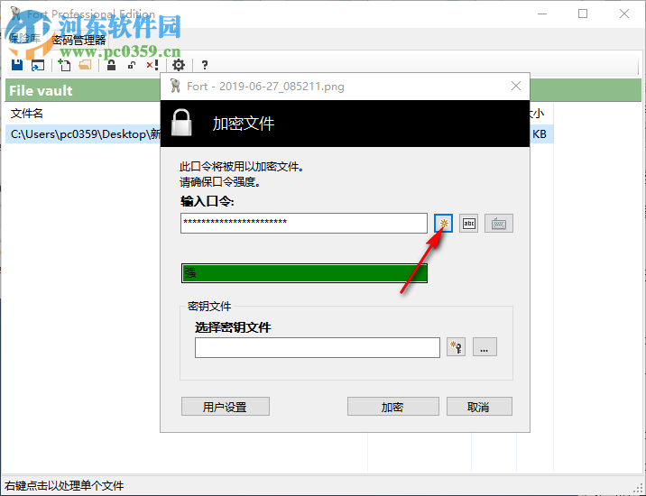 Fort File encryption(文件加密软件) 5.0.0 中文版