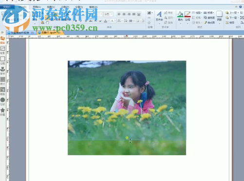 金印客DPS印刷排版软件