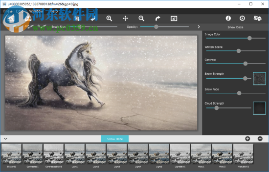 Snow Daze(照片雪景效果添加软件) 1.20 官方版