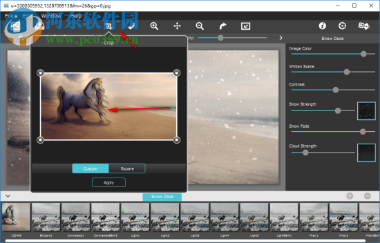 Snow Daze(照片雪景效果添加软件) 1.20 官方版