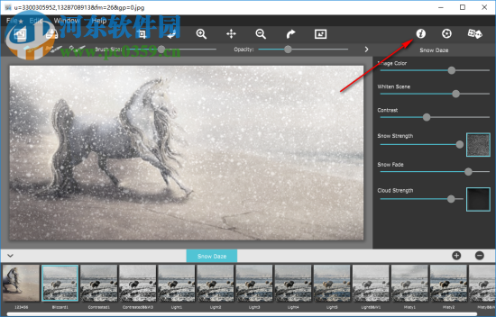 Snow Daze(照片雪景效果添加软件) 1.20 官方版