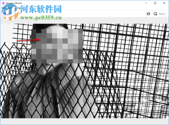 Arcane Marks(图片隐私隐藏工具) 1.0 官方版
