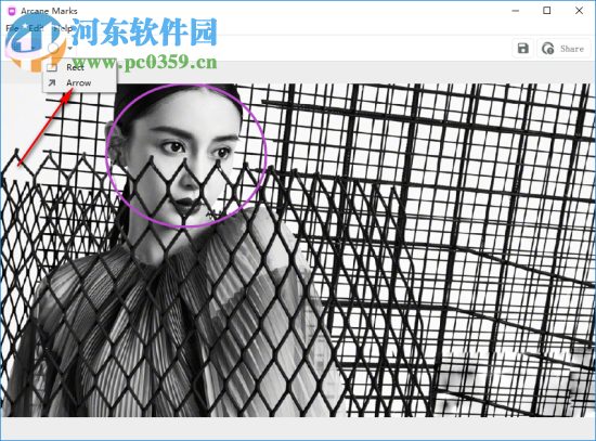 Arcane Marks(图片隐私隐藏工具) 1.0 官方版