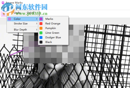 Arcane Marks(图片隐私隐藏工具) 1.0 官方版