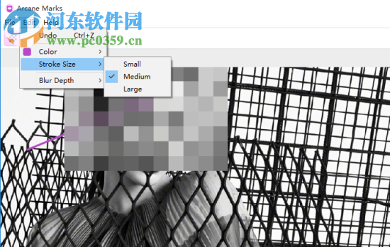 Arcane Marks(图片隐私隐藏工具) 1.0 官方版