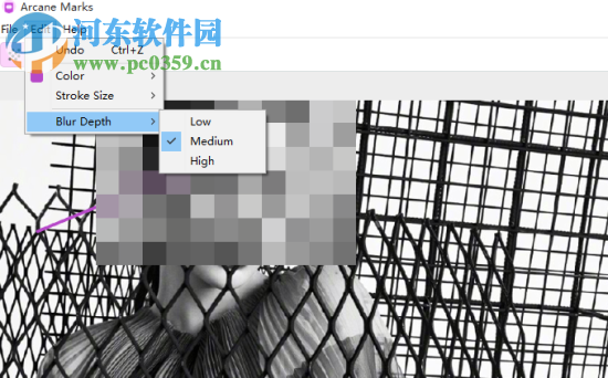 Arcane Marks(图片隐私隐藏工具) 1.0 官方版