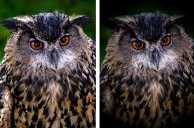 Corel AfterShot Standard(后期修图软件 )3.5.0.365 免费版