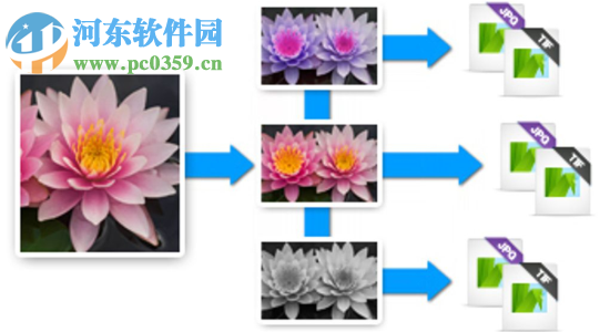 Corel AfterShot Standard(后期修图软件 )3.5.0.365 免费版