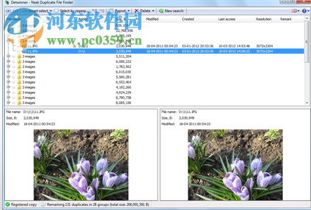 Detwinner(重复文件查找工具) 2.04.001 免费版