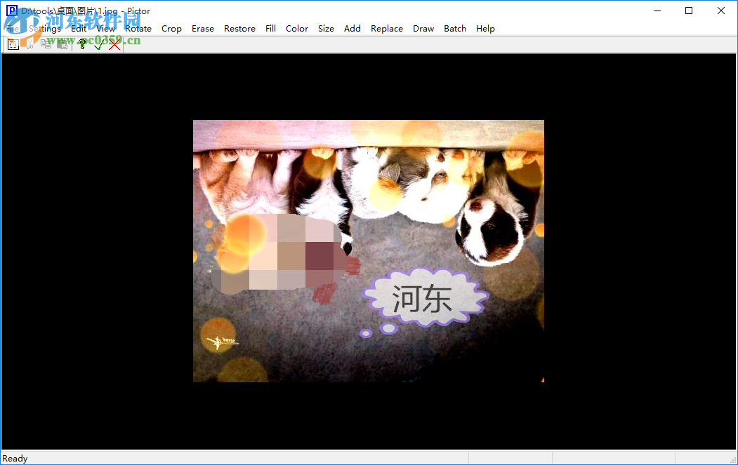 Cpix(图片浏览工具) 2.5.1 免费版
