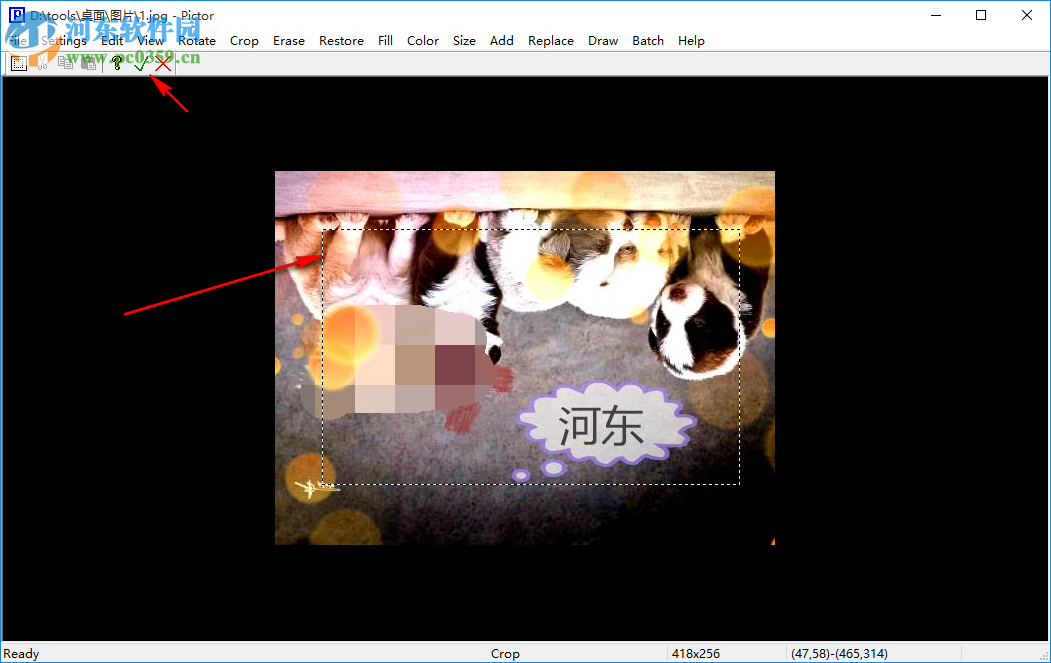 Cpix(图片浏览工具) 2.5.1 免费版