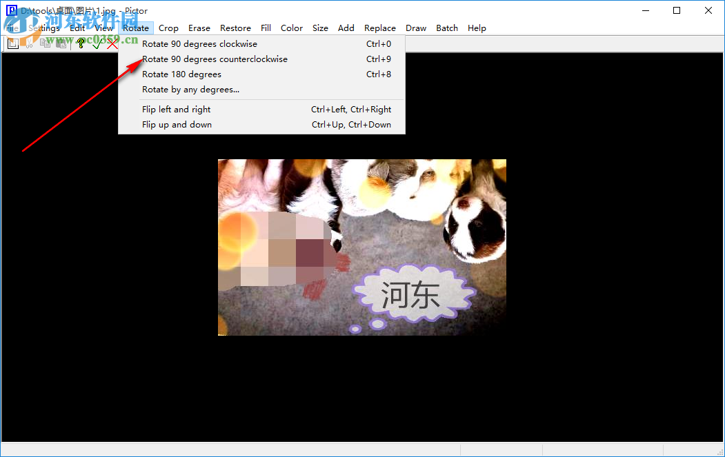 Cpix(图片浏览工具) 2.5.1 免费版