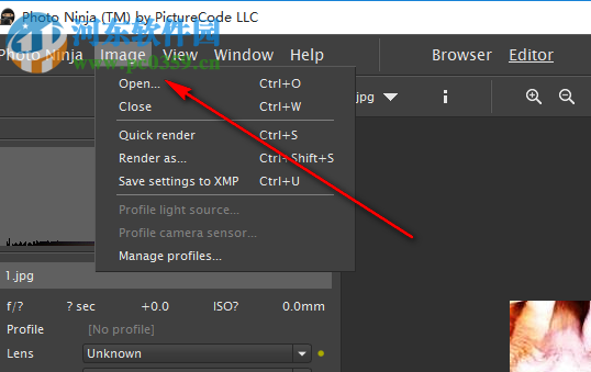 PictureCode Photo Ninja(RAW图片转换器) 1.3.8 免费版