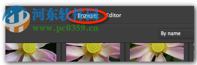 PictureCode Photo Ninja(RAW图片转换器) 1.3.8 免费版