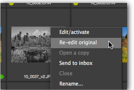 PictureCode Photo Ninja(RAW图片转换器) 1.3.8 免费版